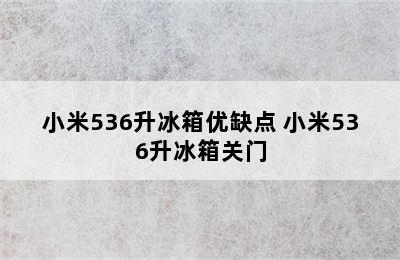 小米536升冰箱优缺点 小米536升冰箱关门